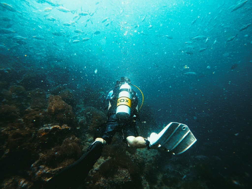 Komodo Diving Currents & Safety, Explained